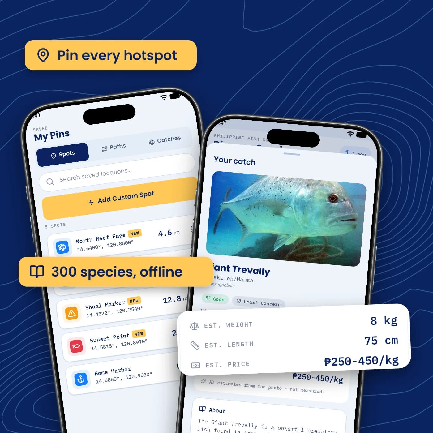 Sariling pin sa pwesto